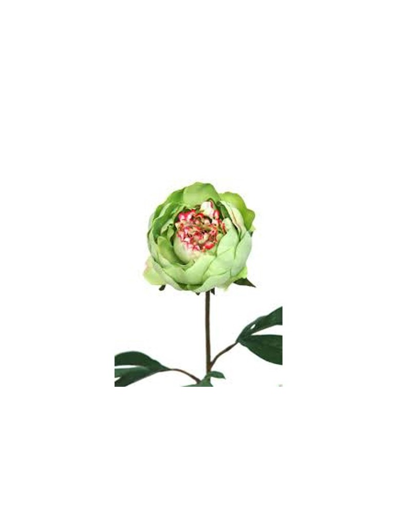 Gėlė "Žalias Bijūnas" 80cm