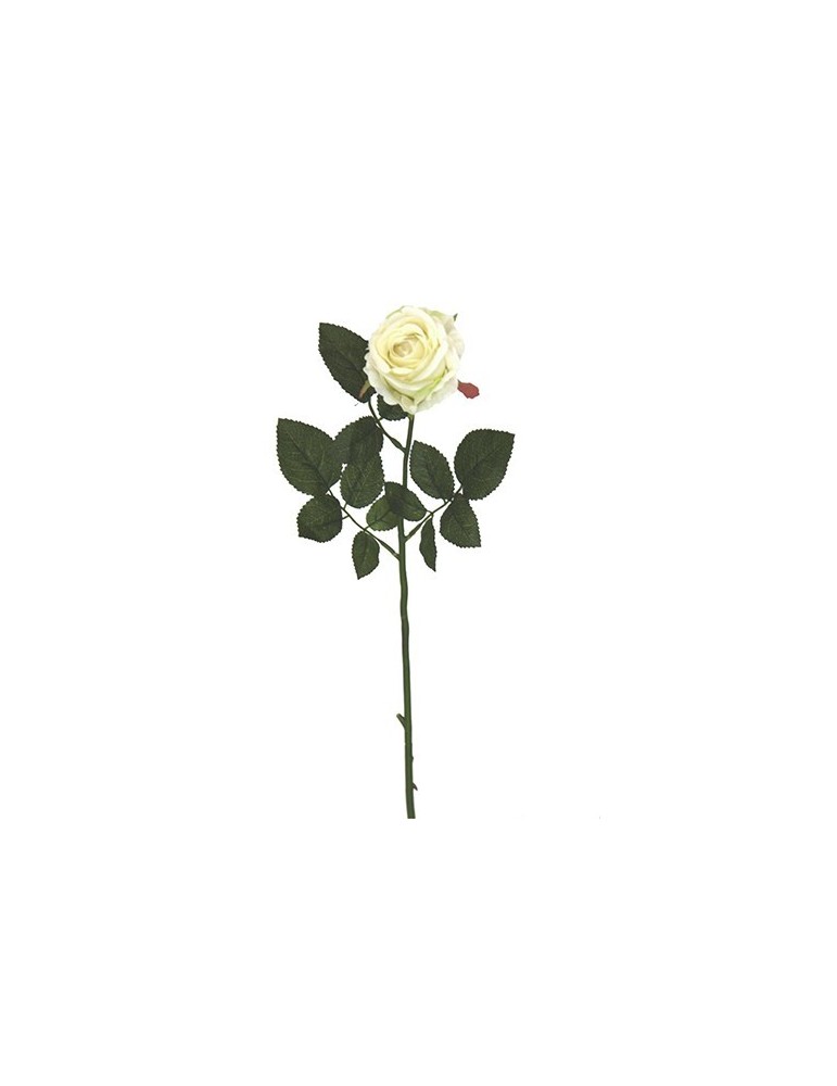 Gėlė Kreminė Rožė, 13x70