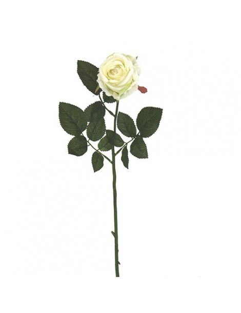 Gėlė Kreminė Rožė, 13x70