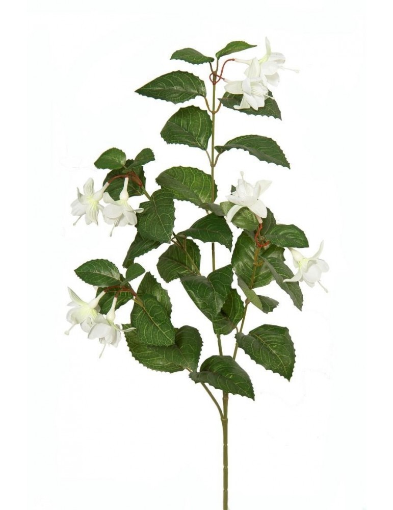 Gėlė balta fuksija 75 cm.