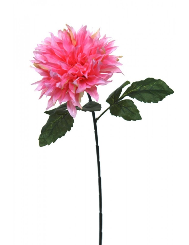 Gėlė rožinė dalija 70 cm.