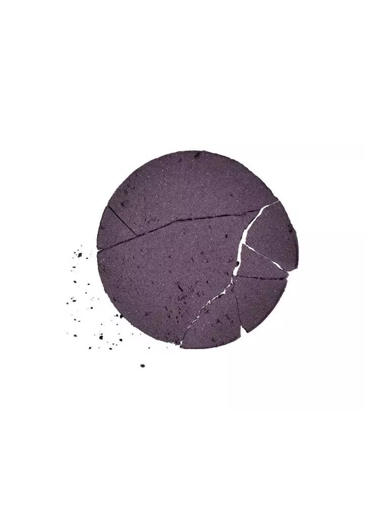 T.LECLERC Wet&Dry akių šešėliai 007 PARME ABSOLU 2,5 g.