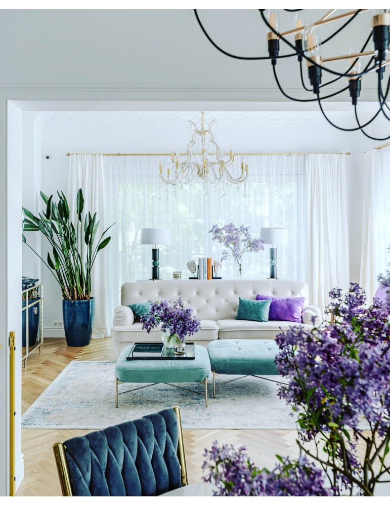 LIBER DE DOMO. Knyga apie namus