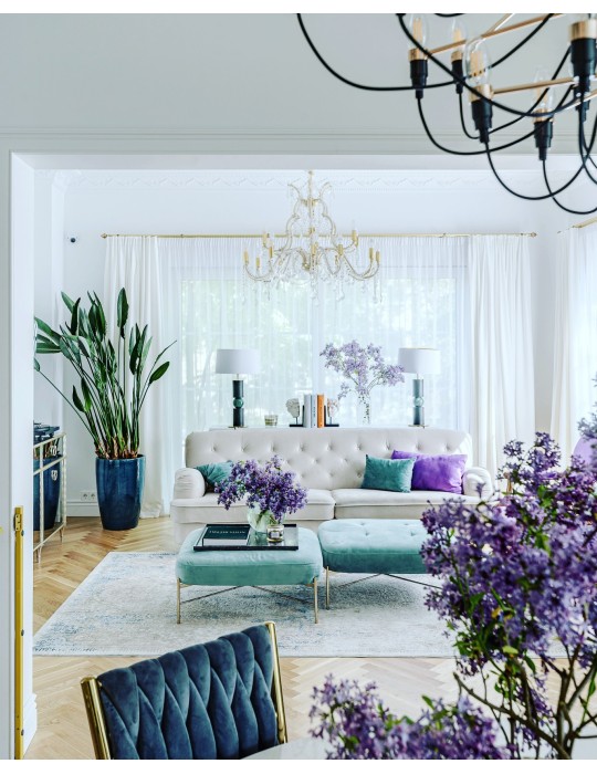 LIBER DE DOMO. Knyga apie namus