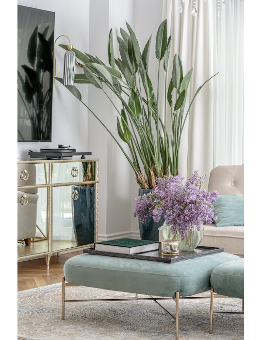 LIBER DE DOMO. Knyga apie namus