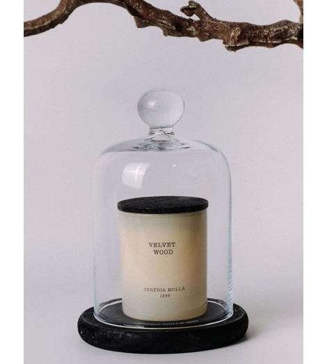 CERERIA MOLLA XL žvakė „Velvet Wood“