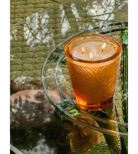 LALIQUE žvakė krištolo vazoje „Jungle“ 750 g